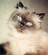 Fred in 2000