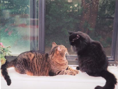 Mickey and Big Kitty